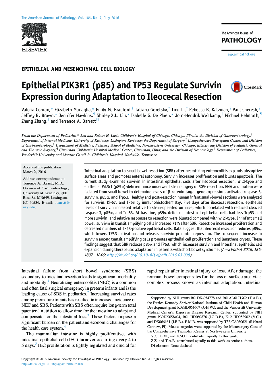 Regular articleEpithelial and mesenchymal cell biologyEpithelial PIK3R1 (p85) and TP53 Regulate Survivin Expression during Adaptation to Ileocecal Resection