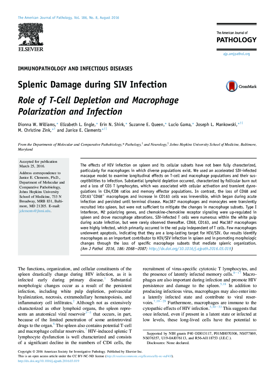 Regular articleImmunopathology and infectious diseasesSplenic Damage during SIV Infection: Role of T-Cell Depletion and Macrophage Polarization and Infection