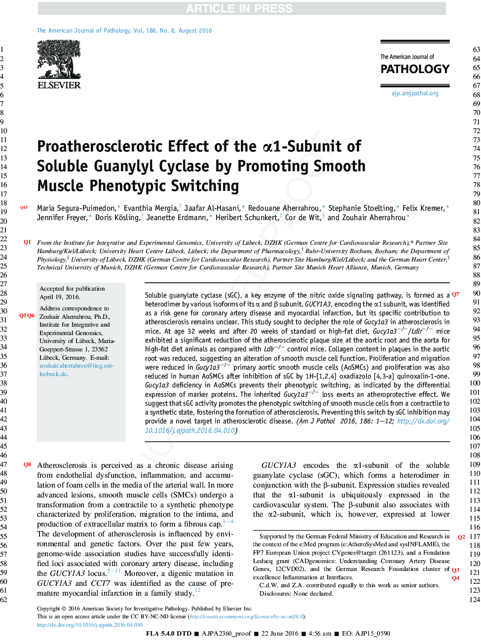 Proatherosclerotic Effect of the Î±1-Subunit of Soluble Guanylyl Cyclase by Promoting Smooth Muscle Phenotypic Switching