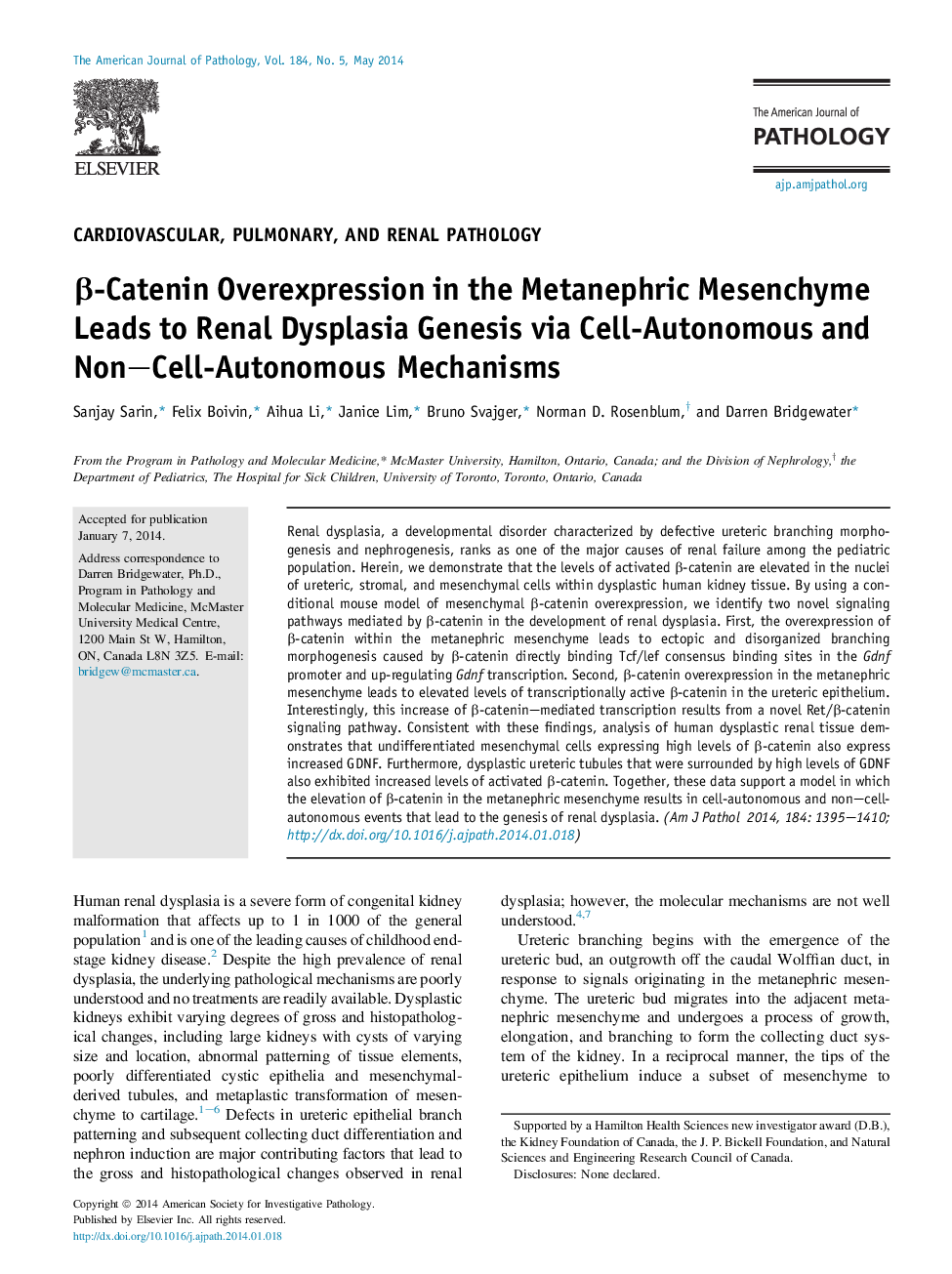 Î²-Catenin Overexpression in the Metanephric Mesenchyme Leads to Renal Dysplasia Genesis via Cell-Autonomous and Non-Cell-Autonomous Mechanisms