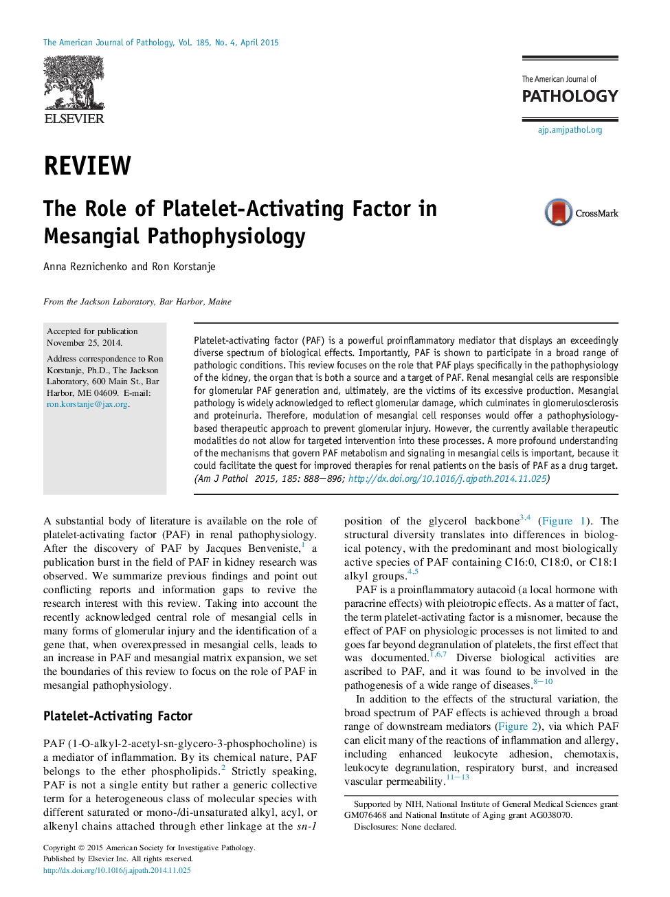 The Role of Platelet-Activating Factor in Mesangial Pathophysiology