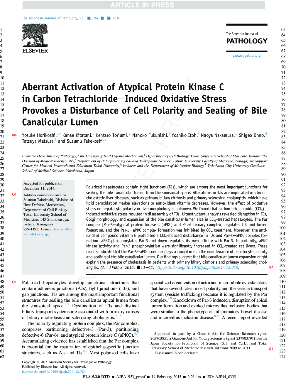 Aberrant Activation of Atypical Protein Kinase C in Carbon Tetrachloride-Induced Oxidative Stress Provokes a Disturbance of Cell Polarity and Sealing of Bile Canalicular Lumen