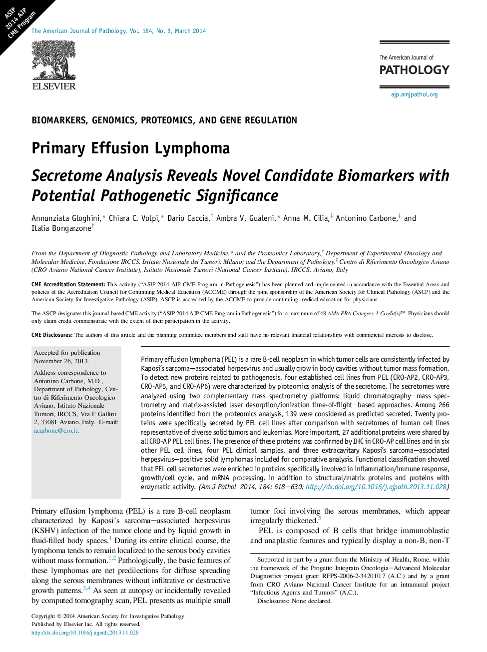 Primary Effusion Lymphoma