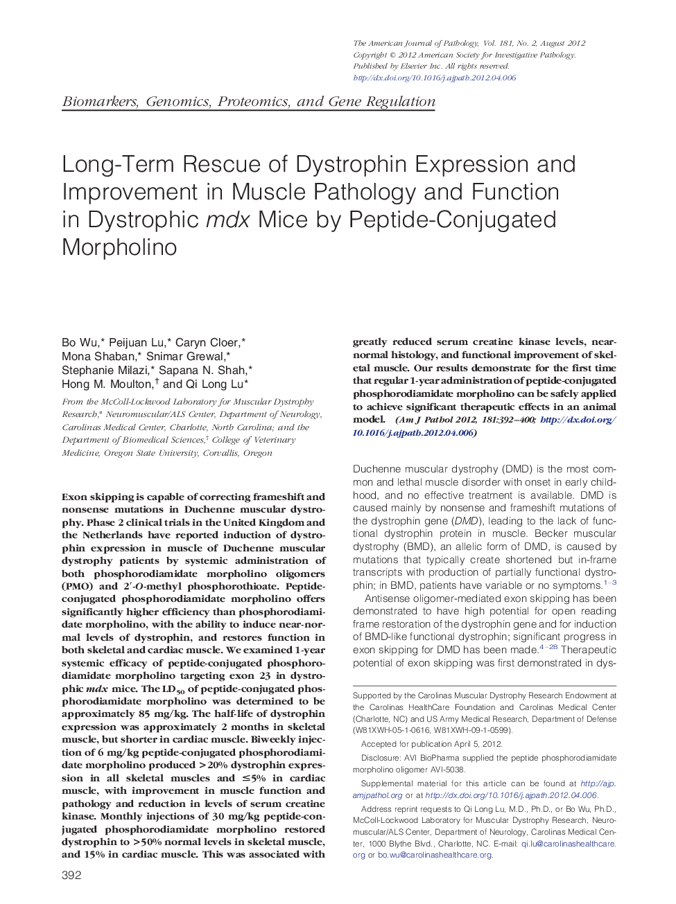Long-Term Rescue of Dystrophin Expression and Improvement in Muscle Pathology and Function in Dystrophic mdx Mice by Peptide-Conjugated Morpholino