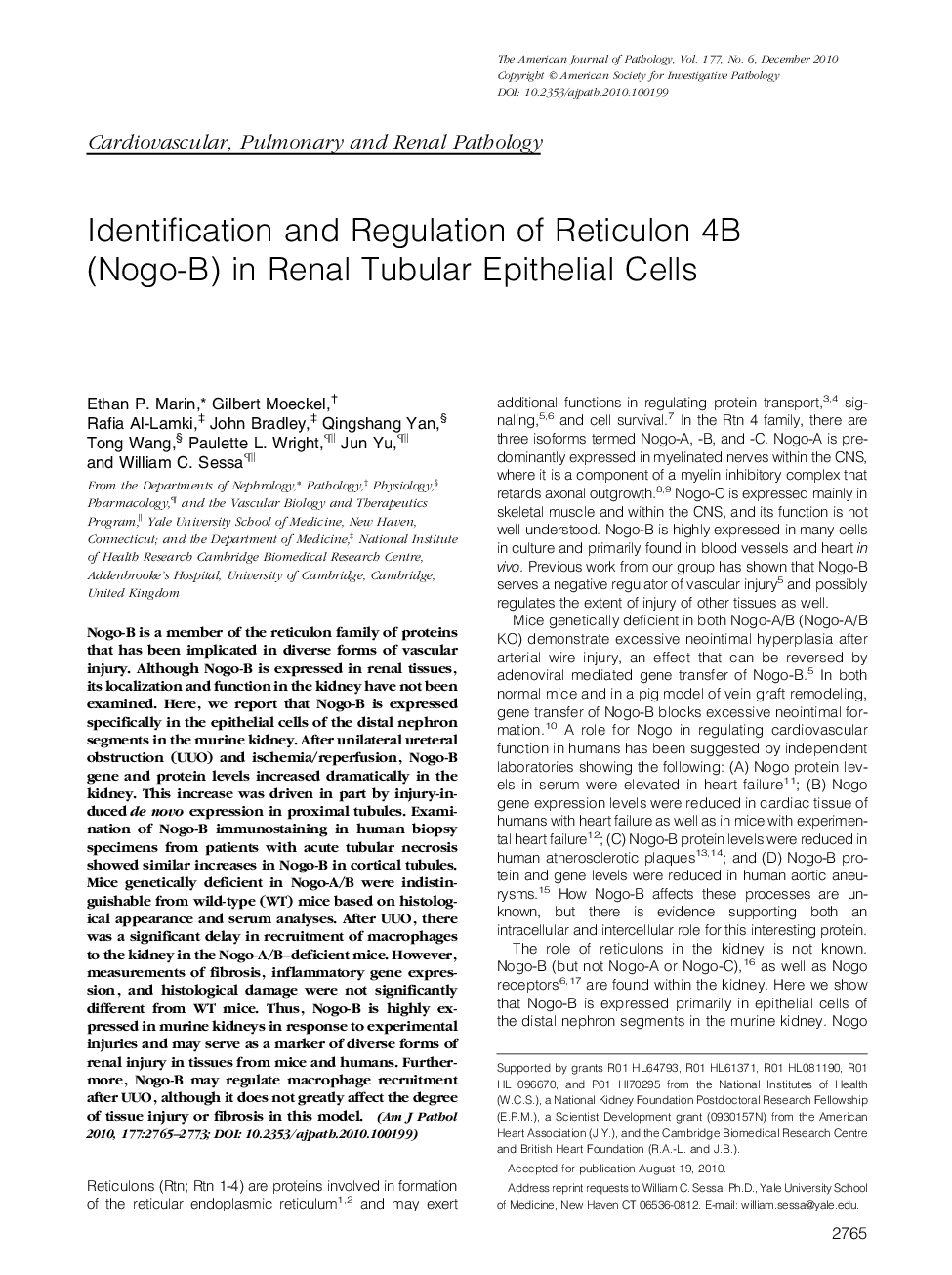 Identification and Regulation of Reticulon 4B (Nogo-B) in Renal Tubular Epithelial Cells