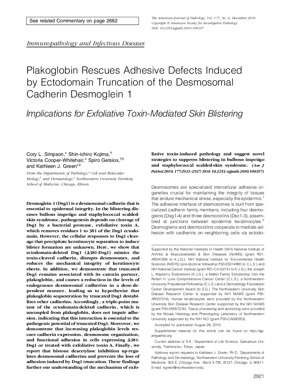 Plakoglobin Rescues Adhesive Defects Induced by Ectodomain Truncation of the Desmosomal Cadherin Desmoglein 1