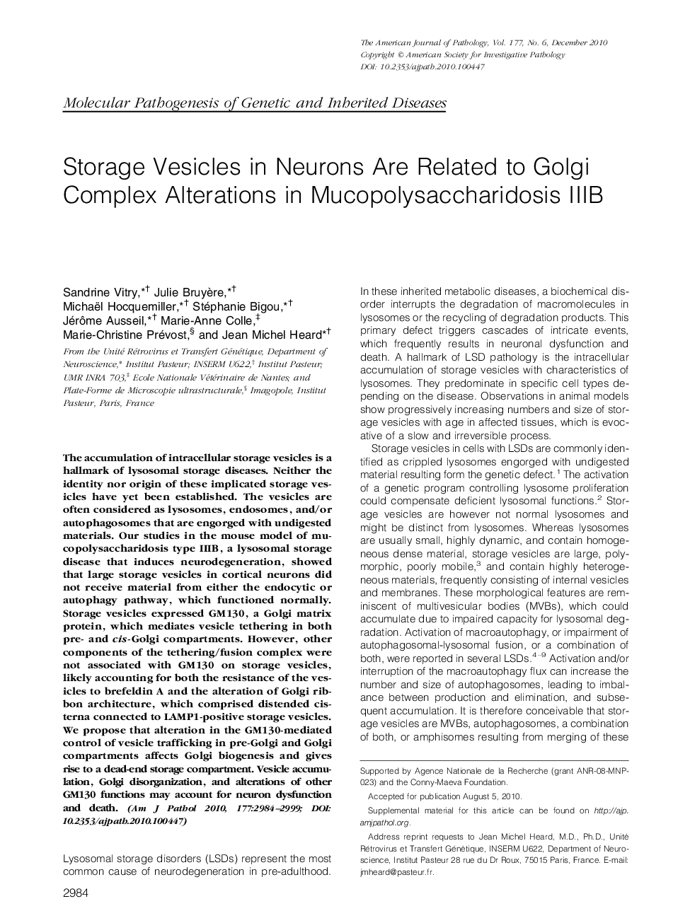 Regular ArticlesStorage Vesicles in Neurons Are Related to Golgi Complex Alterations in Mucopolysaccharidosis IIIB