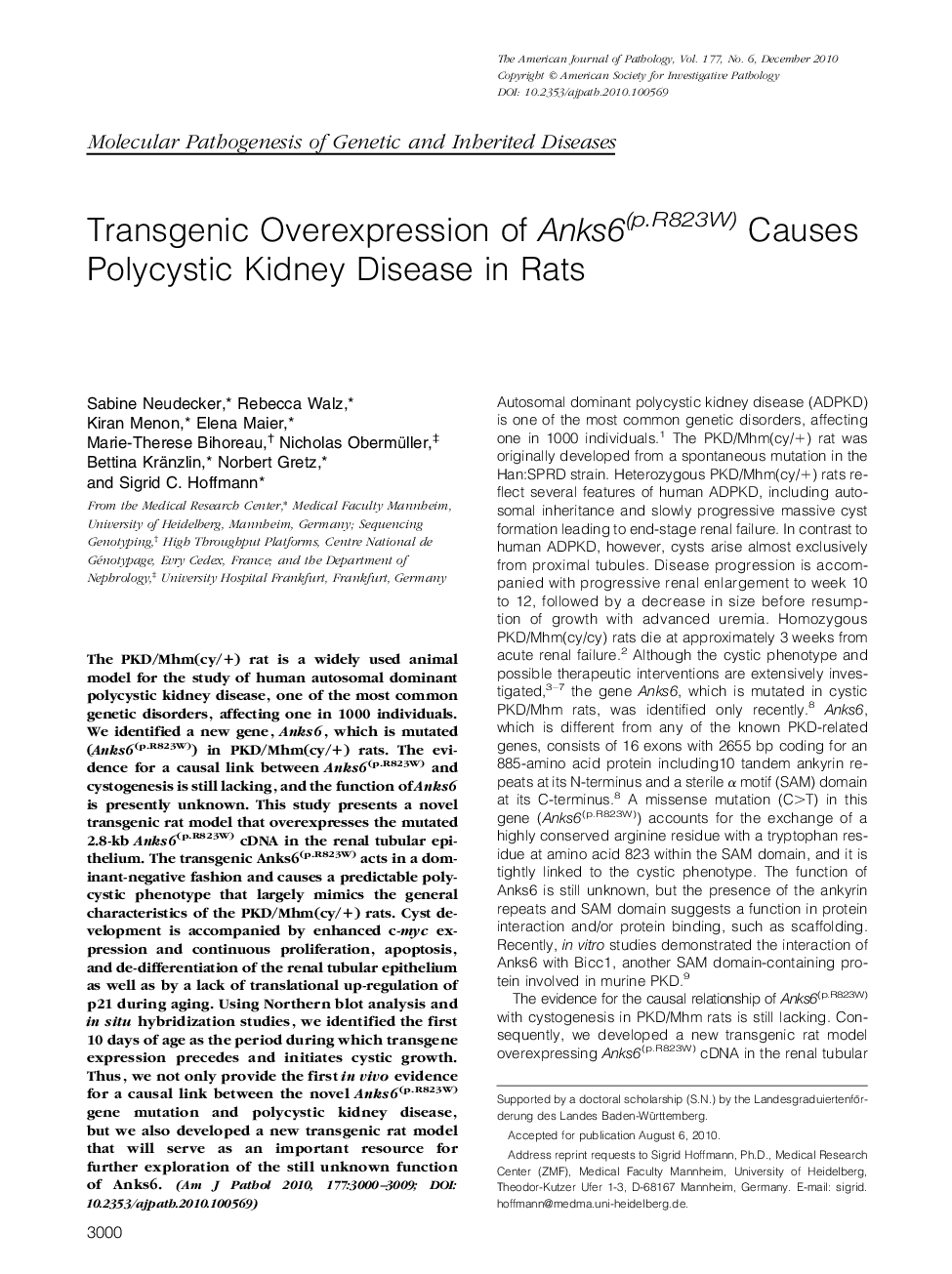 Regular ArticlesTransgenic Overexpression of Anks6(p.R823W) Causes Polycystic Kidney Disease in Rats