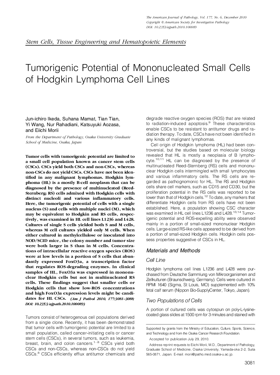 Tumorigenic Potential of Mononucleated Small Cells of Hodgkin Lymphoma Cell Lines