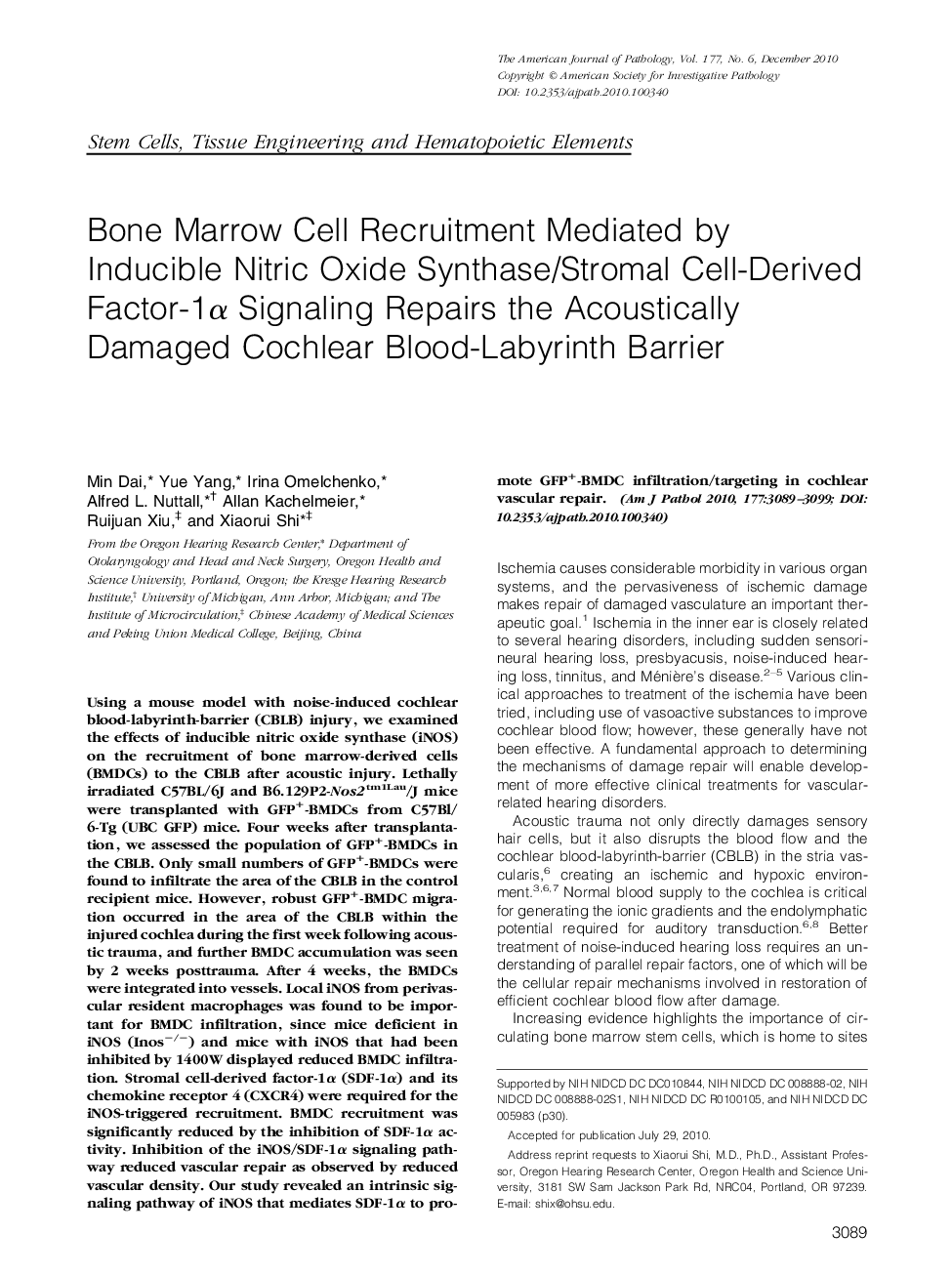 Bone Marrow Cell Recruitment Mediated by Inducible Nitric Oxide Synthase/Stromal Cell-Derived Factor-1Î± Signaling Repairs the Acoustically Damaged Cochlear Blood-Labyrinth Barrier