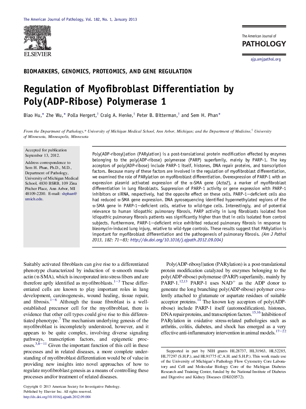 Regulation of Myofibroblast Differentiation by Poly(ADP-Ribose) Polymerase 1