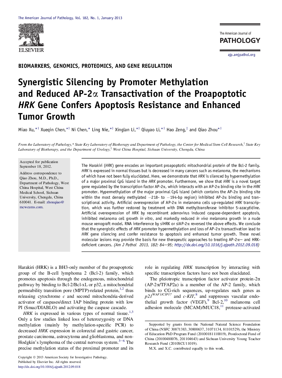 Regular articleBiomarkers, genomics, proteomics, and gene regulationSynergistic Silencing by Promoter Methylation and Reduced AP-2Î± Transactivation of the Proapoptotic HRK Gene Confers Apoptosis Resistance and Enhanced Tumor Growth