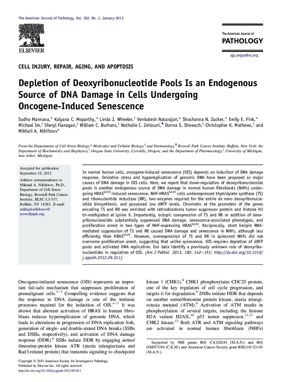 Regular articleCell injury, repair, aging, and apoptosisDepletion of Deoxyribonucleotide Pools Is an Endogenous Source of DNA Damage in Cells Undergoing Oncogene-Induced Senescence