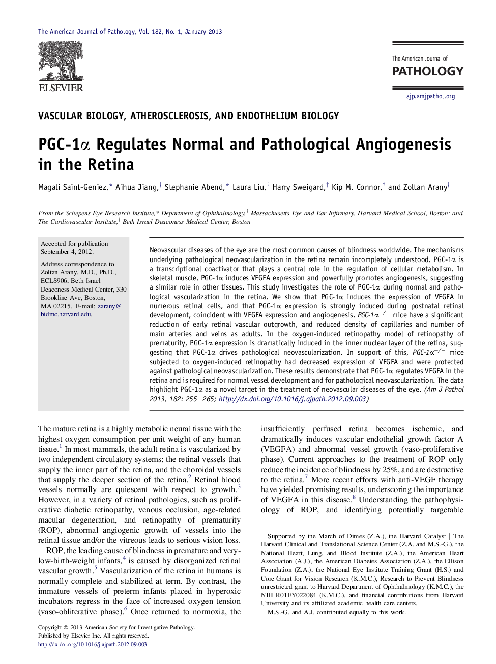 Regular articleVascular biology, atherosclerosis, and endothelium biologyPGC-1Î± Regulates Normal and Pathological Angiogenesis in the Retina