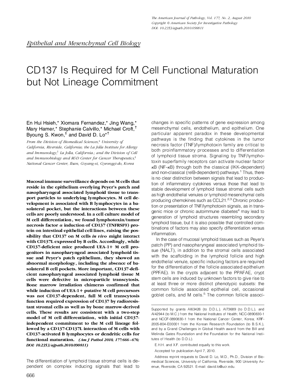 CD137 Is Required for M Cell Functional Maturation but Not Lineage Commitment