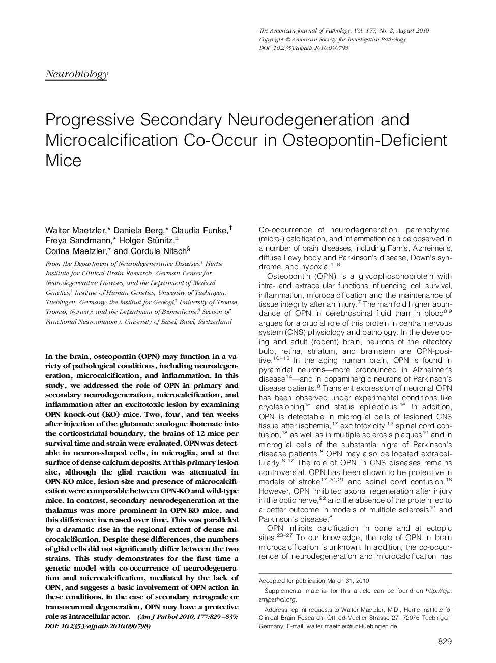 Progressive Secondary Neurodegeneration and Microcalcification Co-Occur in Osteopontin-Deficient Mice