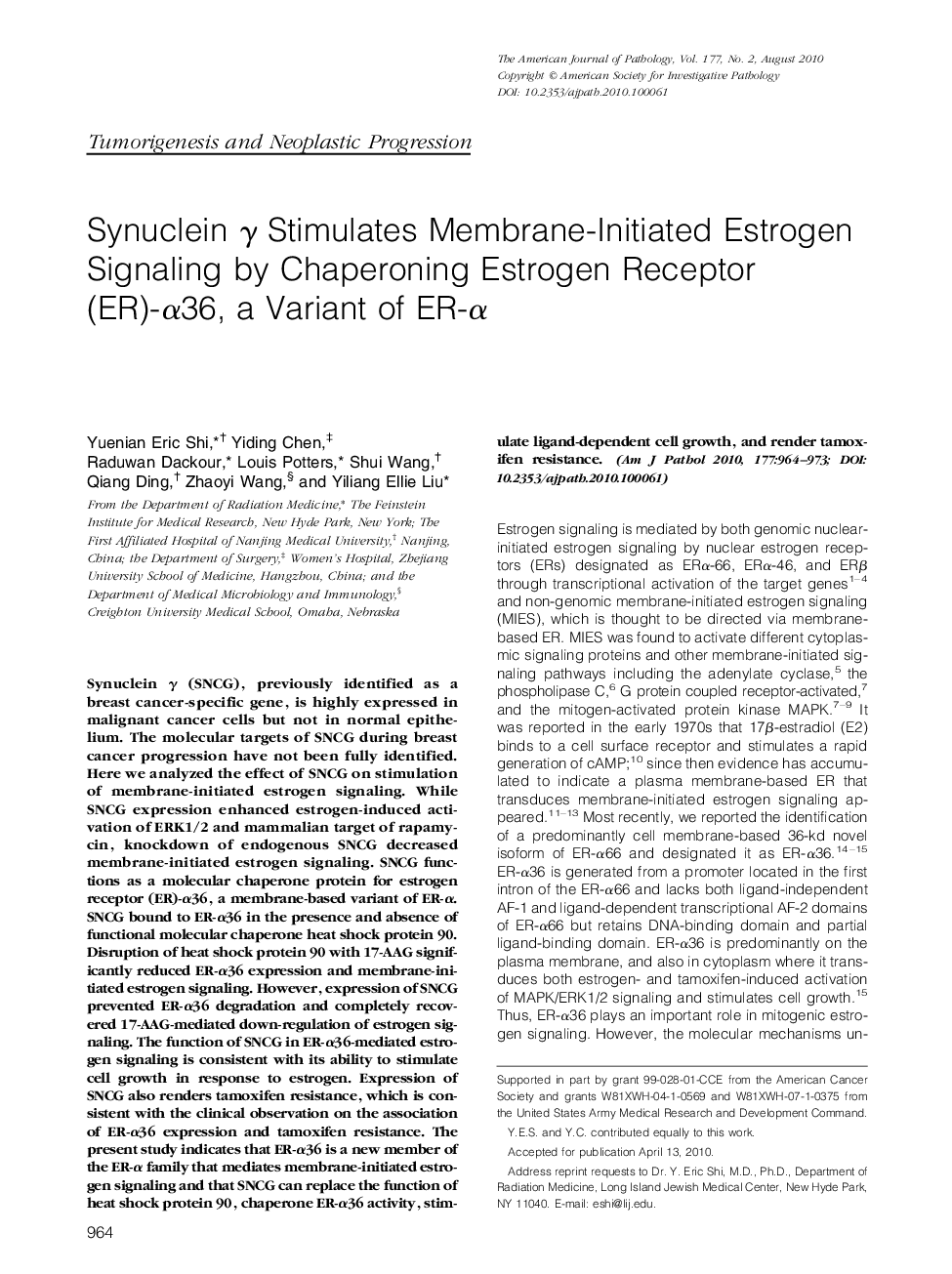 Synuclein Î³ Stimulates Membrane-Initiated Estrogen Signaling by Chaperoning Estrogen Receptor (ER)-Î±36, a Variant of ER-Î±