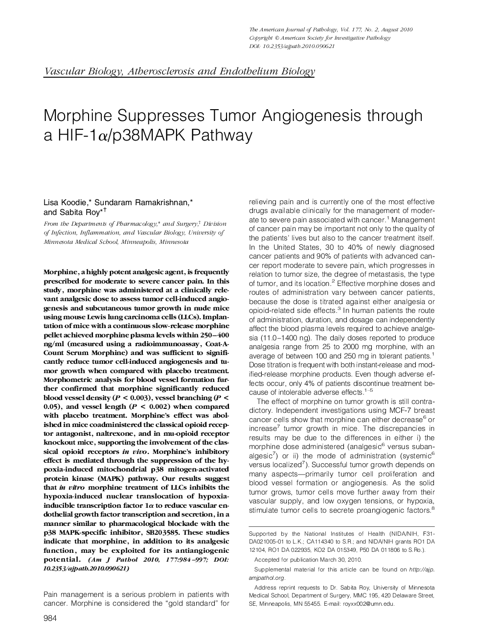 Regular ArticlesMorphine Suppresses Tumor Angiogenesis through a HIF-1Î±/p38MAPK Pathway