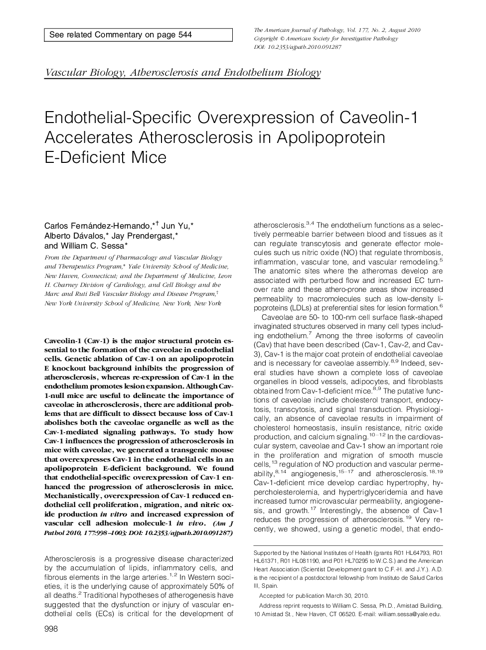 Endothelial-Specific Overexpression of Caveolin-1 Accelerates Atherosclerosis in Apolipoprotein E-Deficient Mice