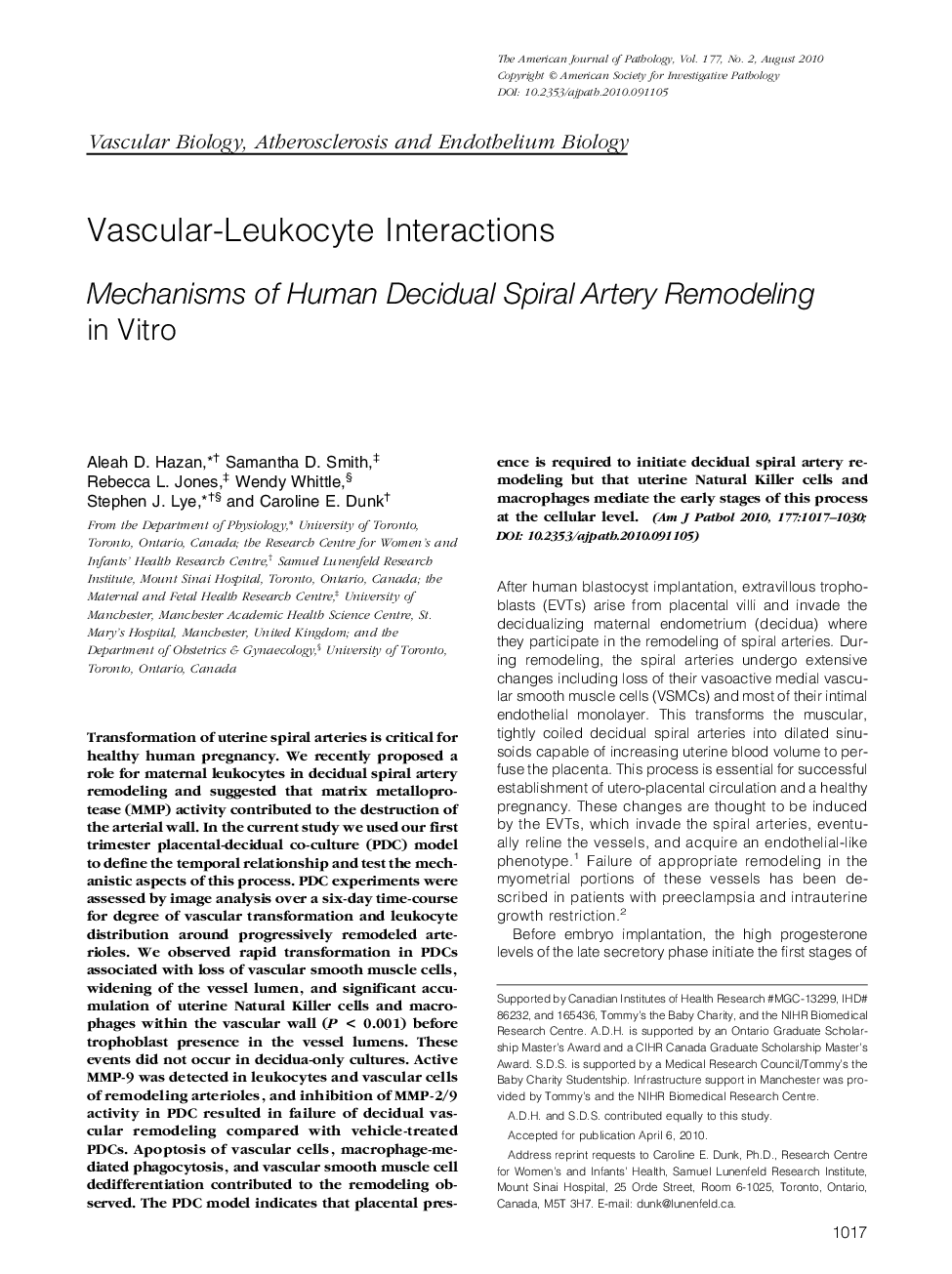 Vascular-Leukocyte Interactions