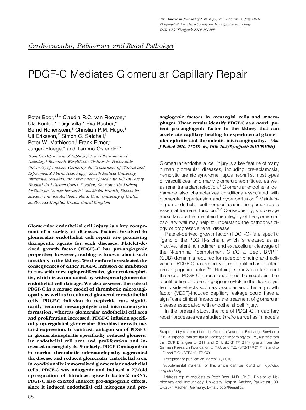 Regular ArticlesPDGF-C Mediates Glomerular Capillary Repair