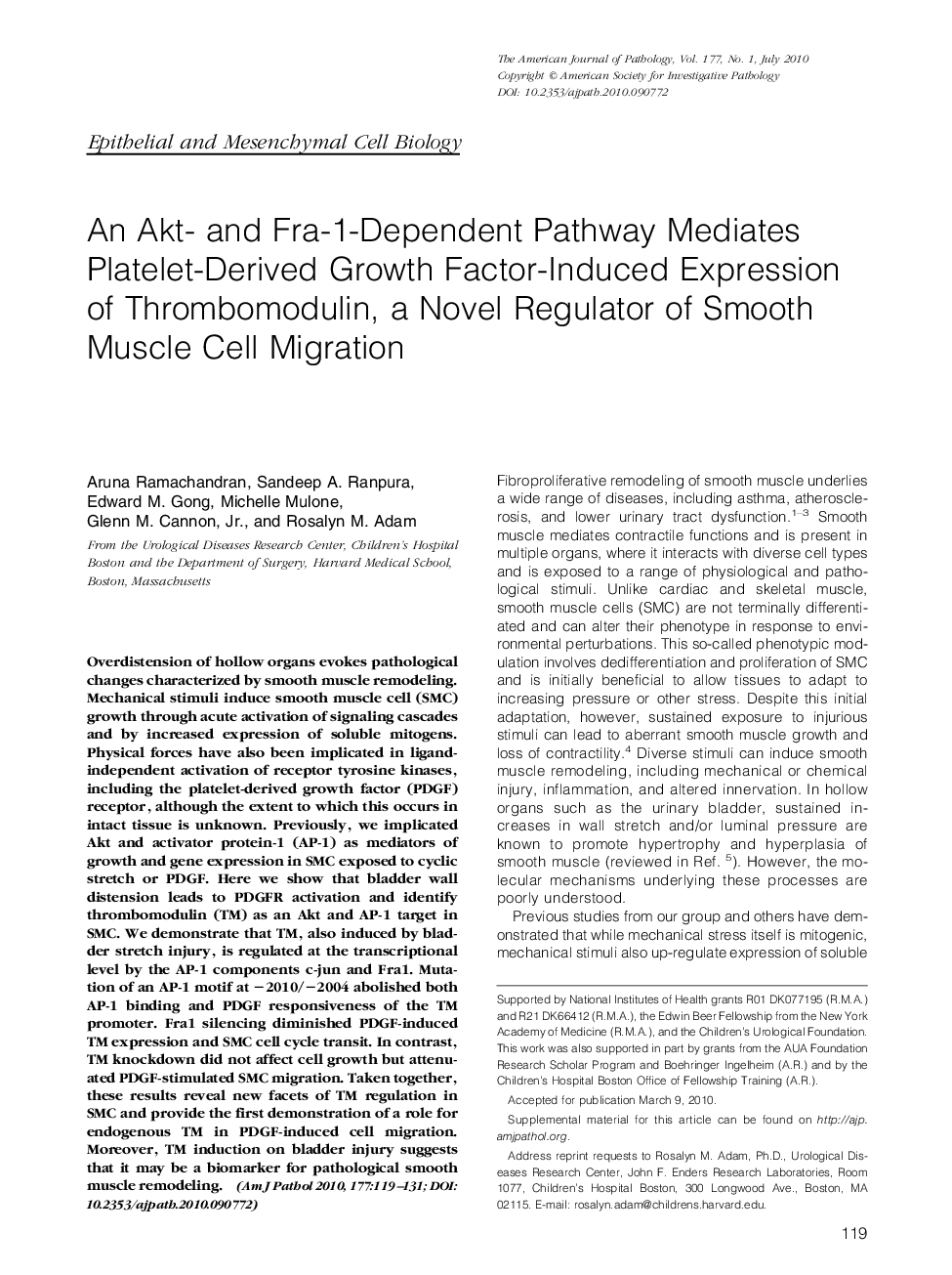 An Akt- and Fra-1-Dependent Pathway Mediates Platelet-Derived Growth Factor-Induced Expression of Thrombomodulin, a Novel Regulator of Smooth Muscle Cell Migration