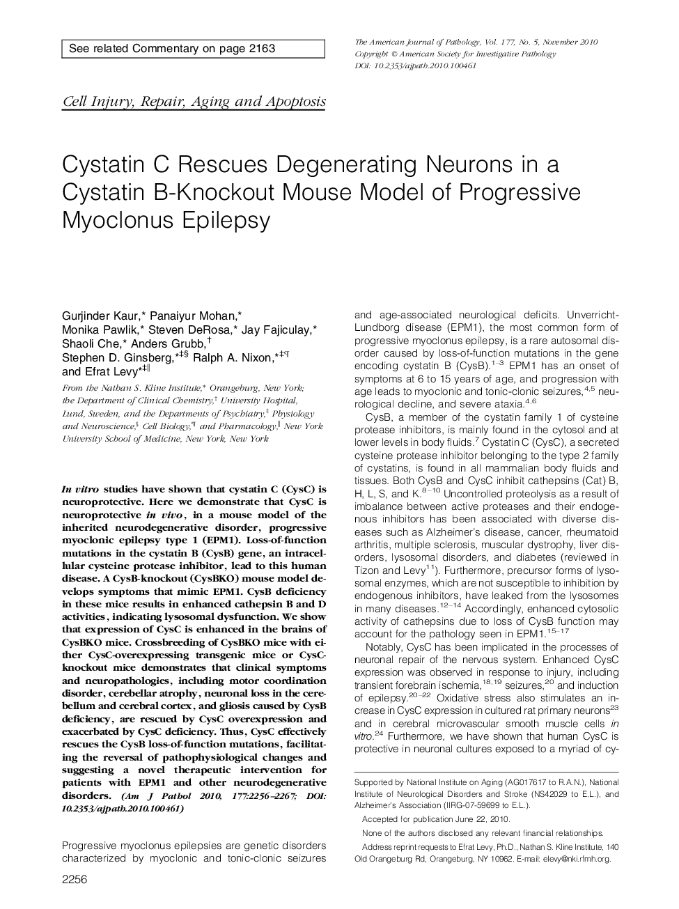 Cystatin C Rescues Degenerating Neurons in a Cystatin B-Knockout Mouse Model of Progressive Myoclonus Epilepsy