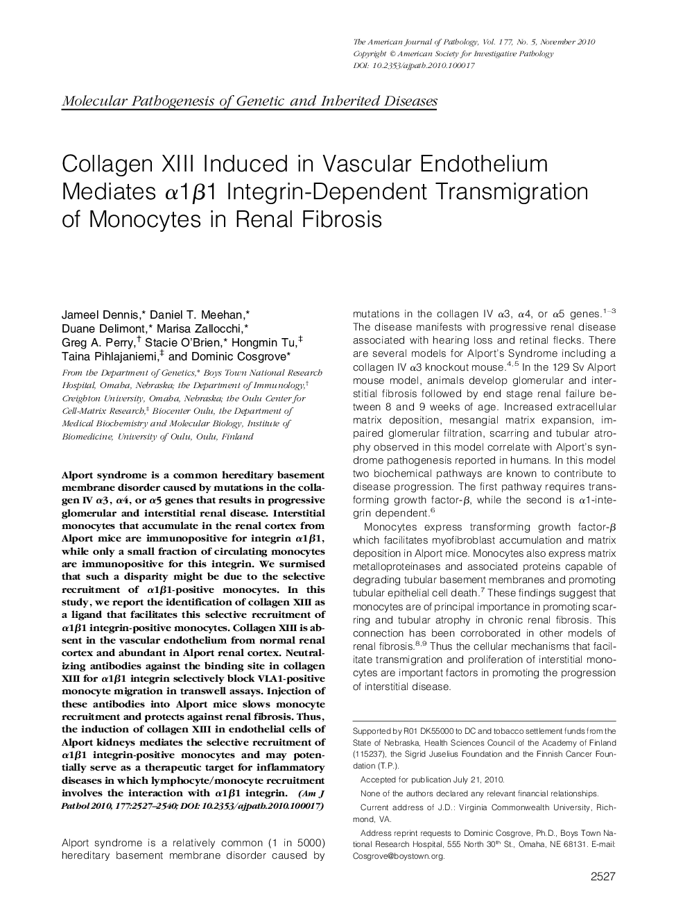 Collagen XIII Induced in Vascular Endothelium Mediates Î±1Î²1 Integrin-Dependent Transmigration of Monocytes in Renal Fibrosis