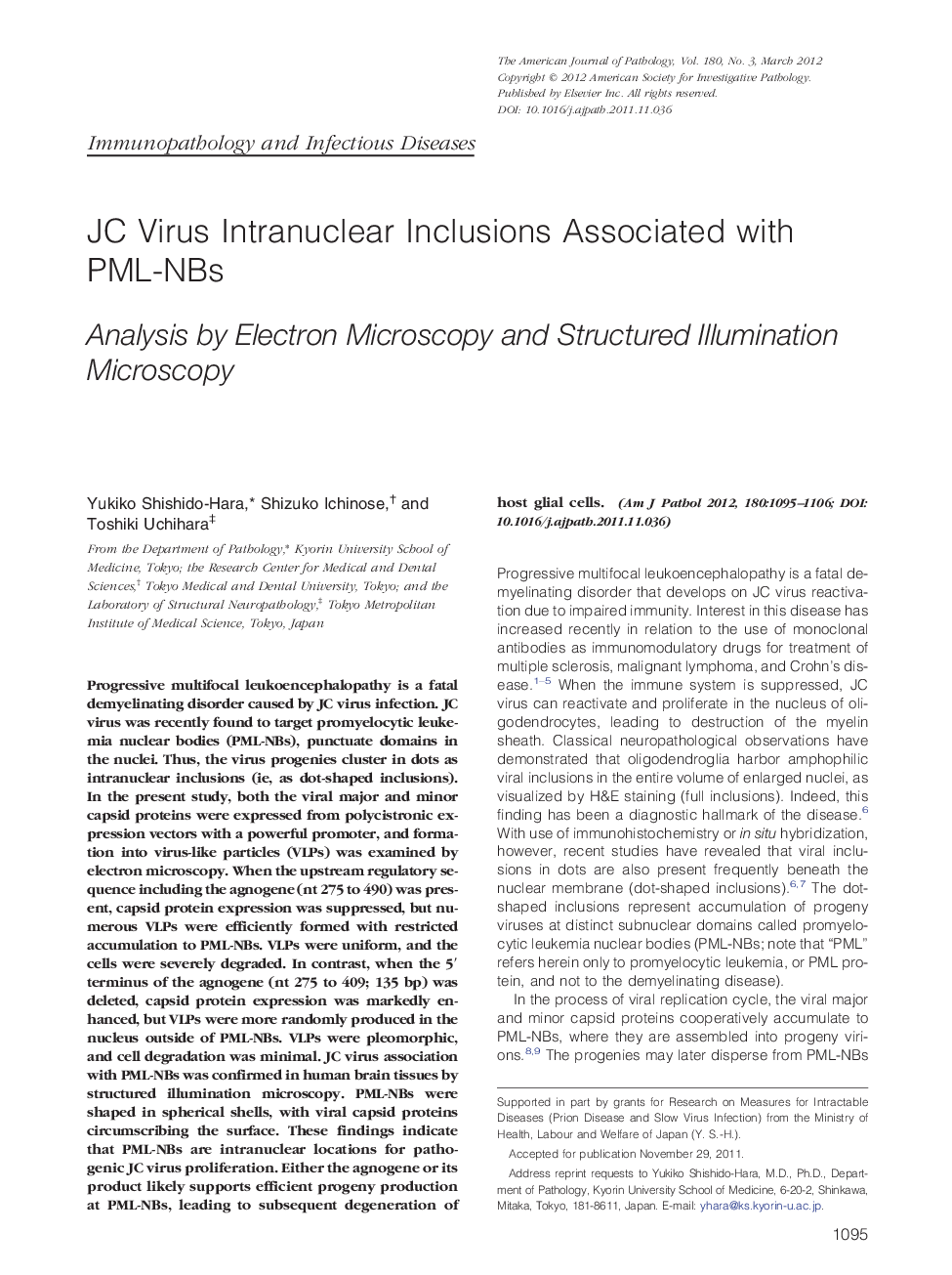 JC Virus Intranuclear Inclusions Associated with PML-NBs