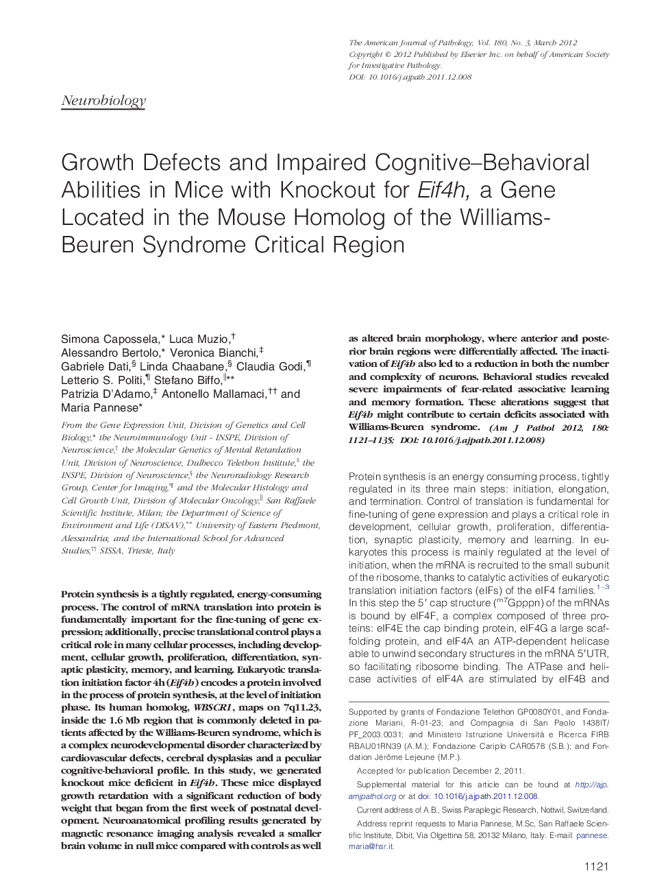 Growth Defects and Impaired Cognitive-Behavioral Abilities in Mice with Knockout for Eif4h, a Gene Located in the Mouse Homolog of the Williams-Beuren Syndrome Critical Region