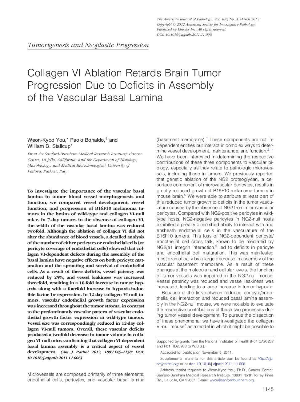 Regular articleTumorigenesis and neoplastic progressionCollagen VI Ablation Retards Brain Tumor Progression Due to Deficits in Assembly of the Vascular Basal Lamina