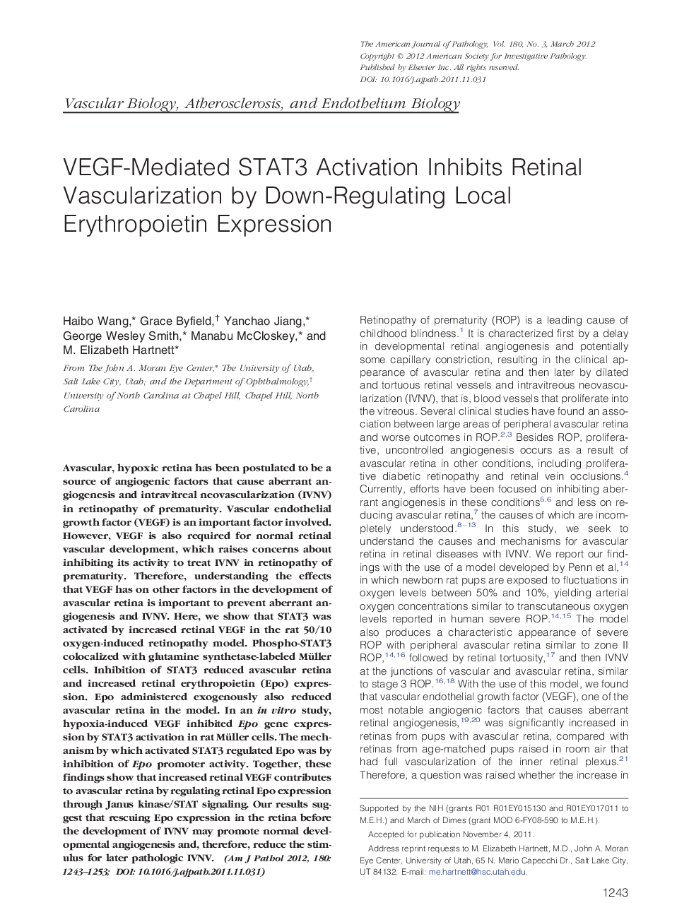 VEGF-Mediated STAT3 Activation Inhibits Retinal Vascularization by Down-Regulating Local Erythropoietin Expression