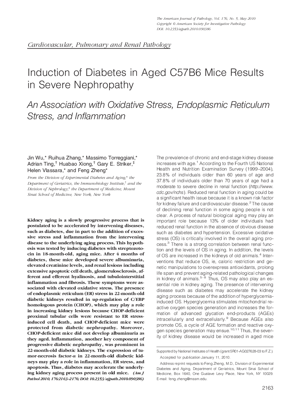 Induction of Diabetes in Aged C57B6 Mice Results in Severe Nephropathy