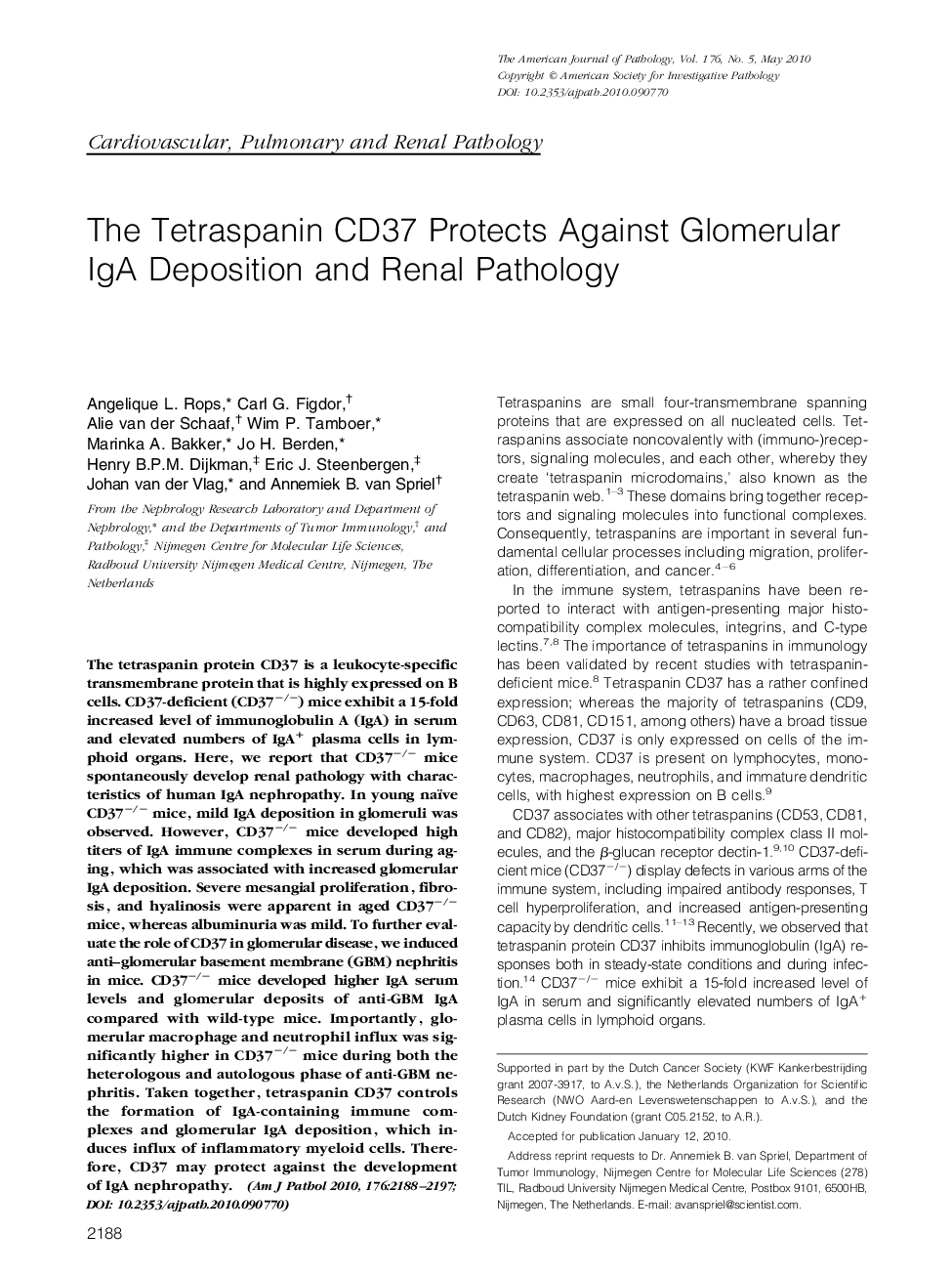 The Tetraspanin CD37 Protects Against Glomerular IgA Deposition and Renal Pathology