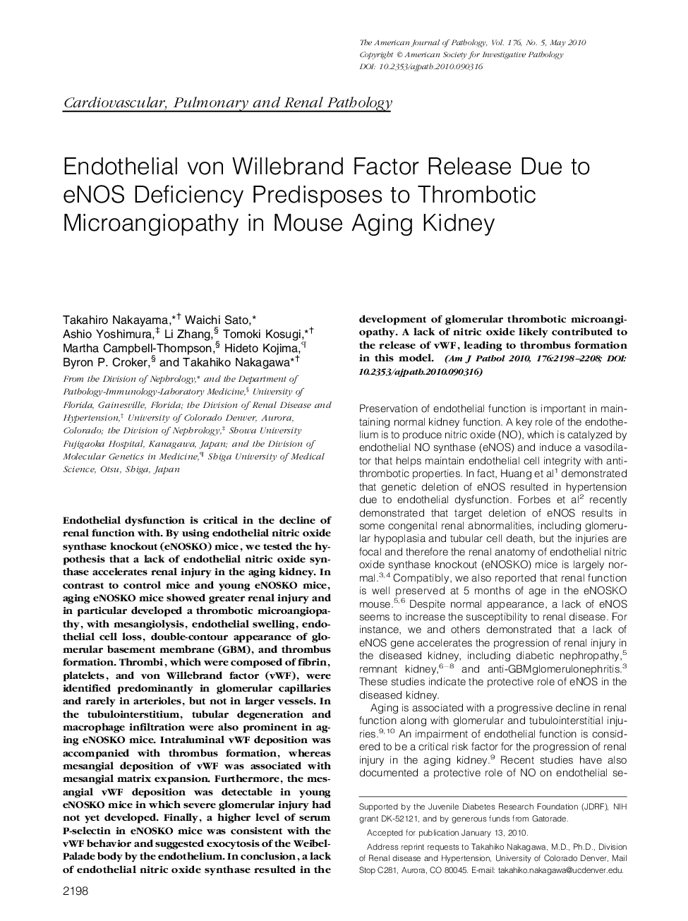 Regular ArticlesEndothelial von Willebrand Factor Release Due to eNOS Deficiency Predisposes to Thrombotic Microangiopathy in Mouse Aging Kidney