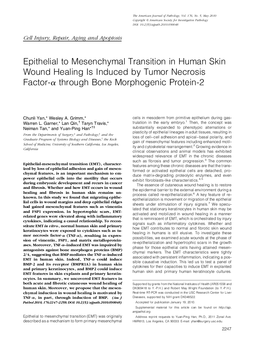 Epithelial to Mesenchymal Transition in Human Skin Wound Healing Is Induced by Tumor Necrosis Factor-Î± through Bone Morphogenic Protein-2