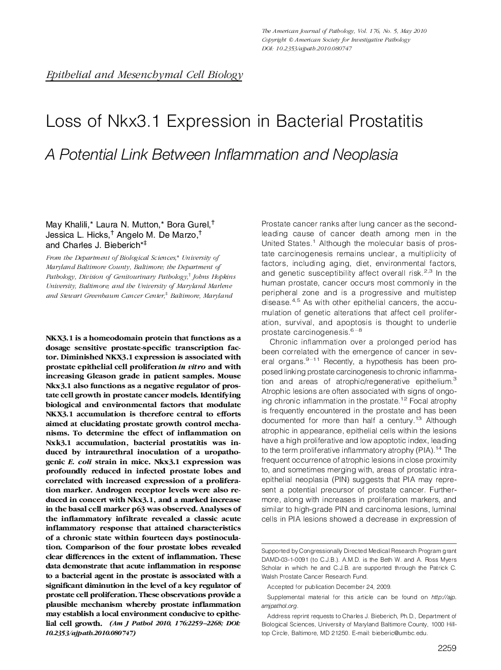 Loss of Nkx3.1 Expression in Bacterial Prostatitis