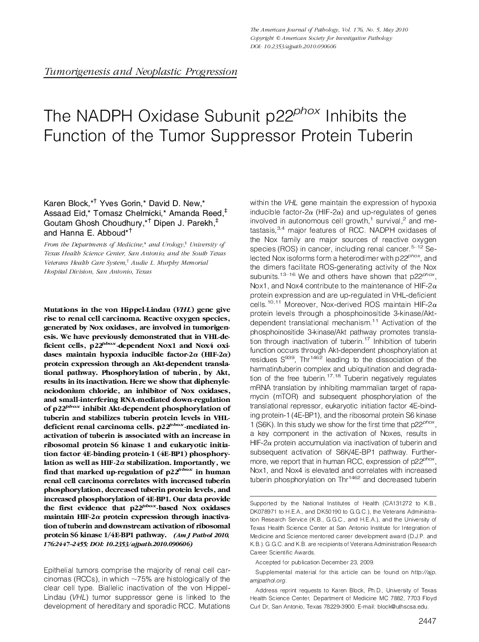 The NADPH Oxidase Subunit p22phox Inhibits the Function of the Tumor Suppressor Protein Tuberin