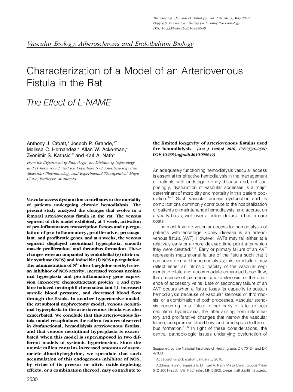Characterization of a Model of an Arteriovenous Fistula in the Rat: The Effect of L-NAME