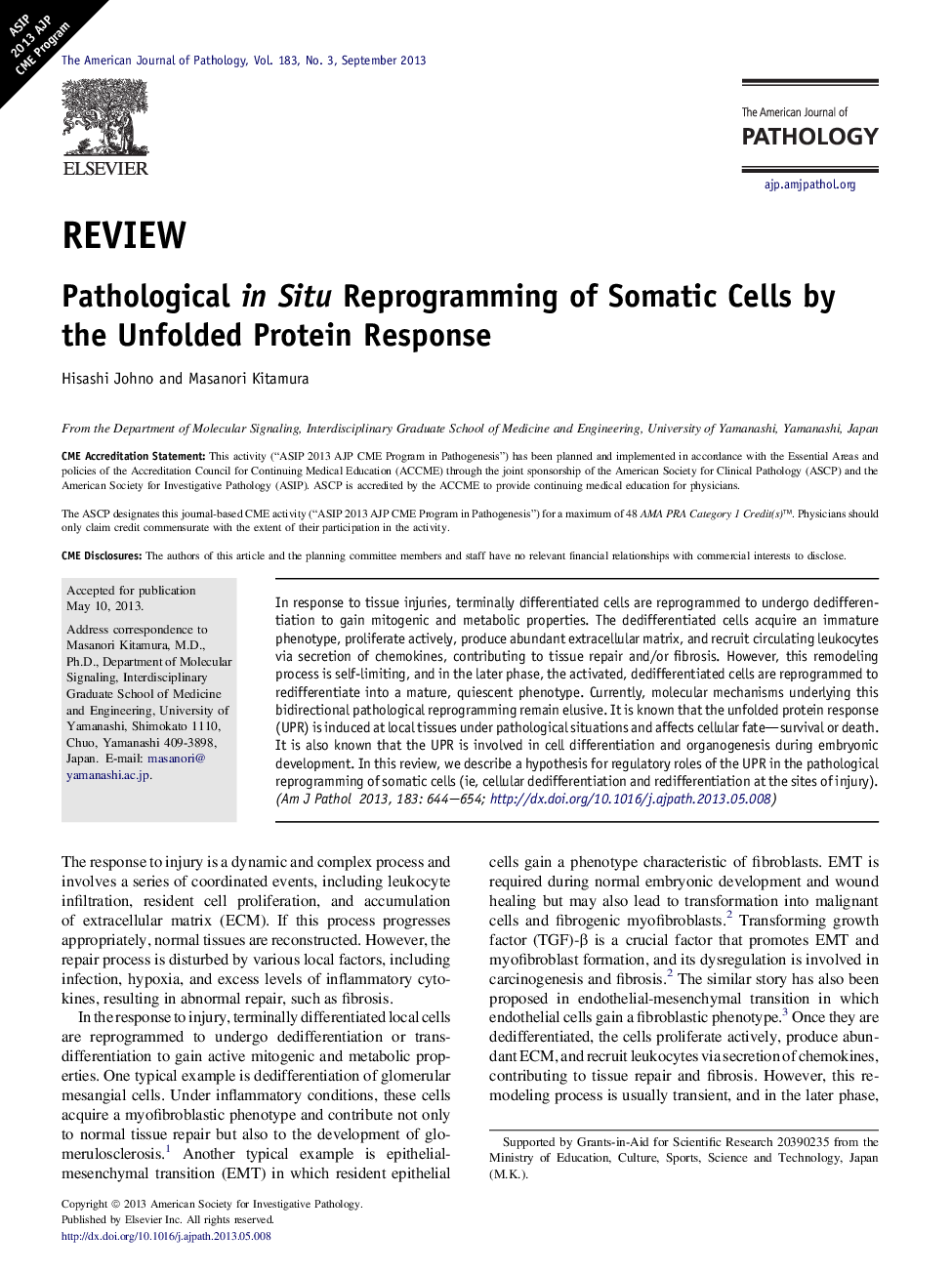 Pathological in Situ Reprogramming of Somatic Cells by the Unfolded Protein Response