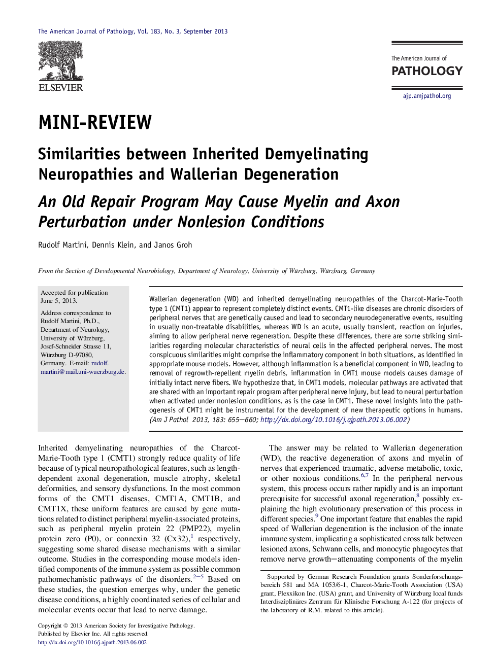 Mini-ReviewSimilarities between Inherited Demyelinating Neuropathies and Wallerian Degeneration: An Old Repair Program May Cause Myelin and Axon Perturbation under Nonlesion Conditions