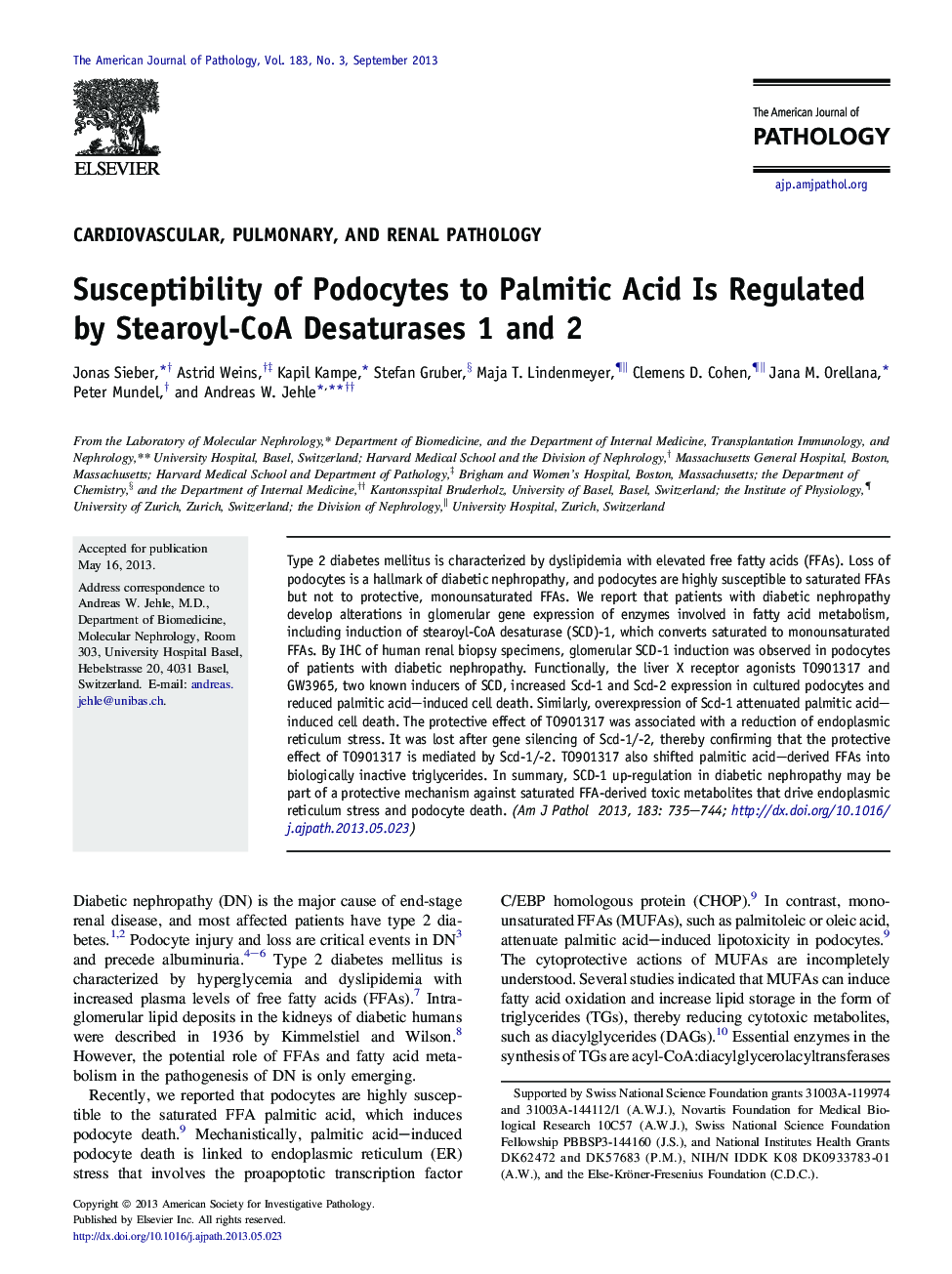 Regular articleCardiovascular, pulmonary, and renal pathologySusceptibility of Podocytes to Palmitic Acid Is Regulated by Stearoyl-CoA Desaturases 1 and 2