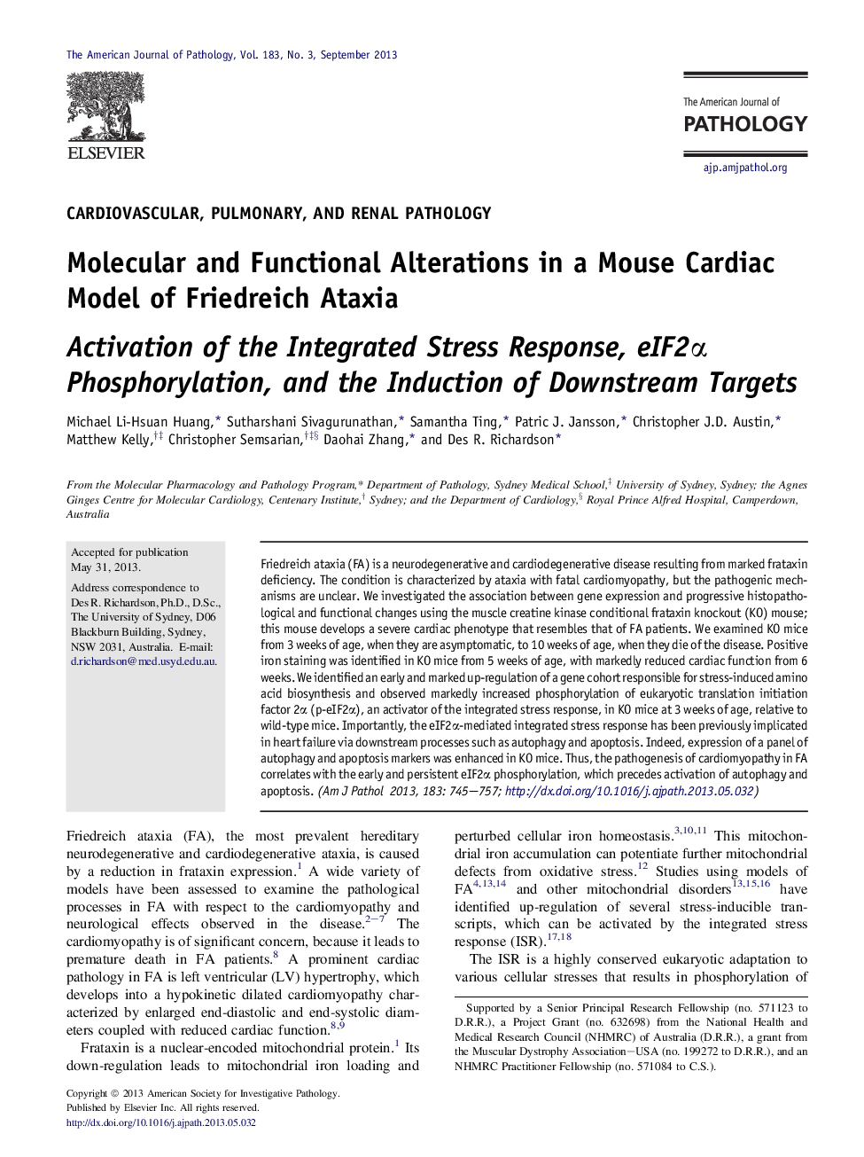 Regular articleCardiovascular, pulmonary, and renal pathologyMolecular and Functional Alterations in a Mouse Cardiac Model of Friedreich Ataxia: Activation of the Integrated Stress Response, eIF2Î± Phosphorylation, and the Induction of Downstream Targets