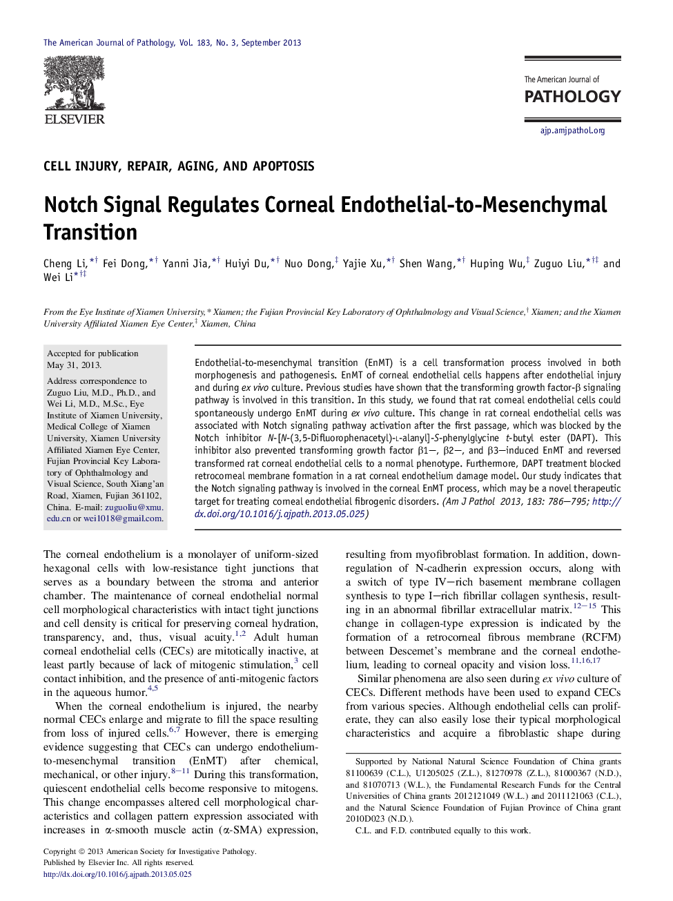 Notch Signal Regulates Corneal Endothelial-to-Mesenchymal Transition
