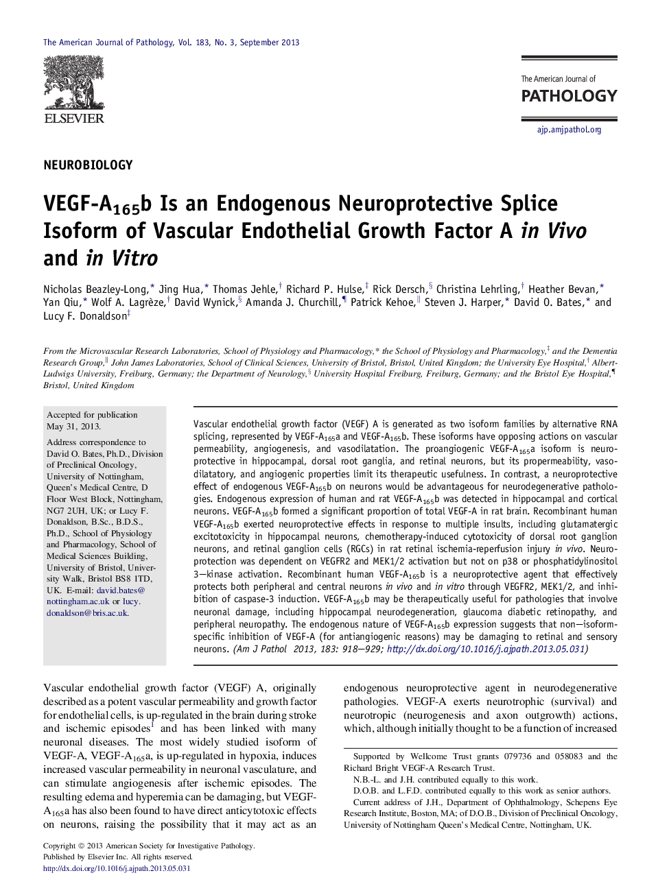 VEGF-A165b Is an Endogenous Neuroprotective Splice Isoform of Vascular Endothelial Growth Factor A inÂ Vivo and inÂ Vitro
