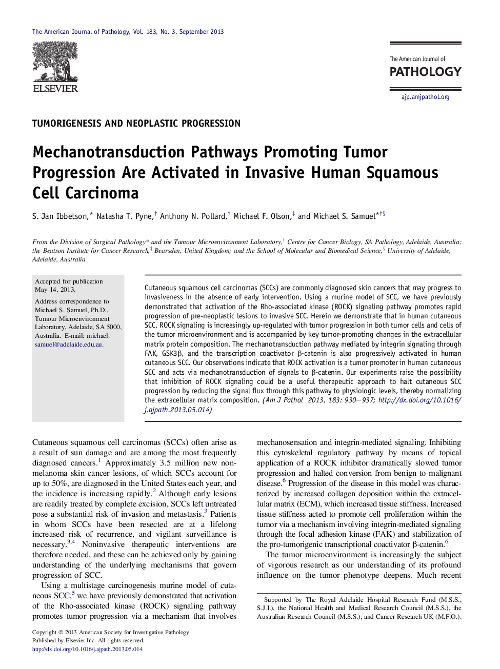 Mechanotransduction Pathways Promoting Tumor Progression Are Activated in Invasive Human Squamous Cell Carcinoma