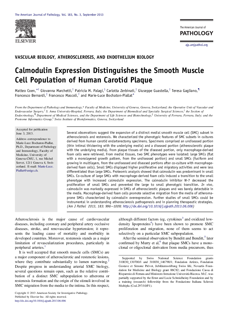 Calmodulin Expression Distinguishes the Smooth Muscle Cell Population of Human Carotid Plaque