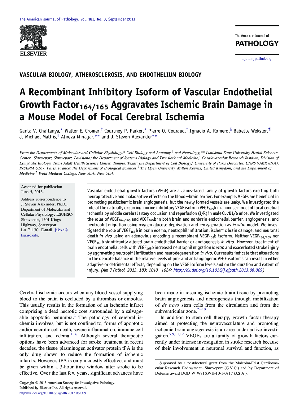 Regular articleVascular biology, atherosclerosis, and endothelium biologyA Recombinant Inhibitory Isoform of Vascular Endothelial Growth Factor164/165 Aggravates Ischemic Brain Damage in a Mouse Model of Focal Cerebral Ischemia