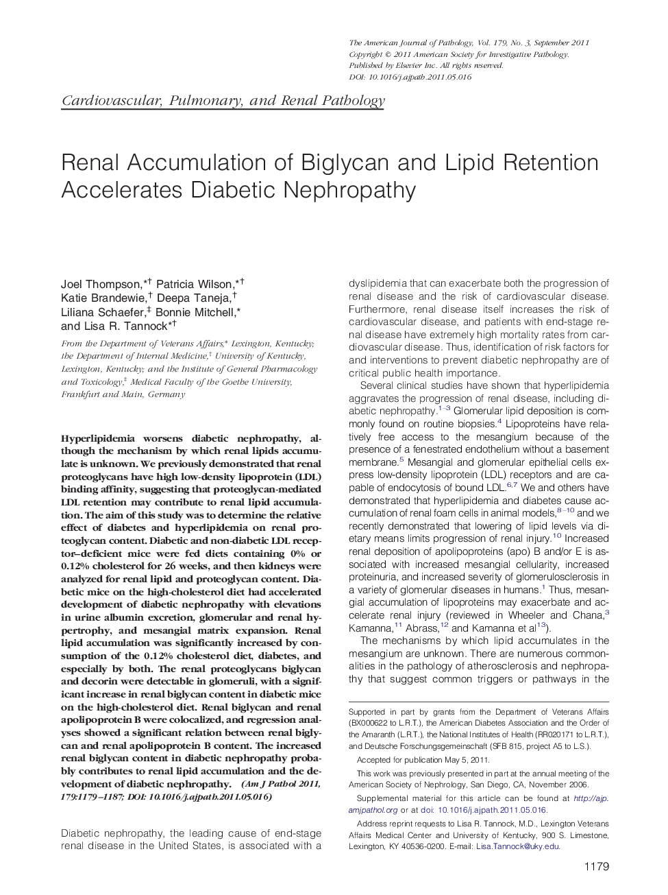 Renal Accumulation of Biglycan and Lipid Retention Accelerates Diabetic Nephropathy