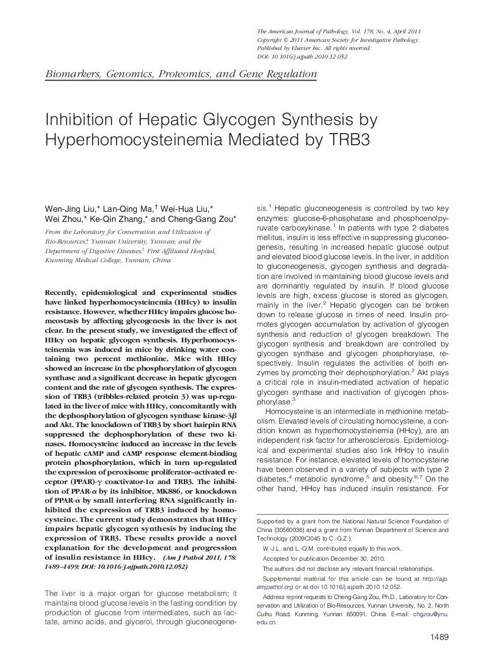 Inhibition of Hepatic Glycogen Synthesis by Hyperhomocysteinemia Mediated by TRB3